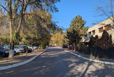 Teren 19.470 mp, dezvoltare imobiliara, Green City - 1 Decembrie, Ilfov - 16