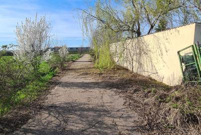 Teren de 1214 mp, în Cornetu - 2