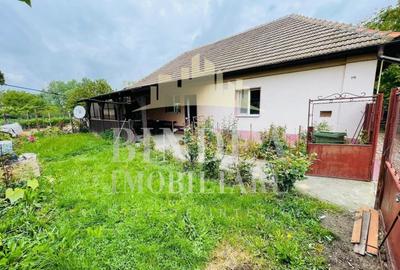 Casa individuala Covaci- 1000mp teren - 2