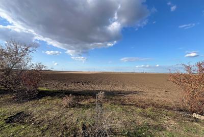 COMISION 0% - Teren Extravilan 10.000mp - Cumpana COMISION 0% - Teren Extravilan 10.000mp - Cumpana - 2