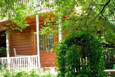 Domeniu exclusivist cu izvor propriu – Cheile Turzii / Munții Apuseni - 2