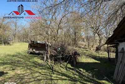 Casă cu 4 camere cu Teren 7701 Mp în Vințu de Jos - 17