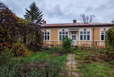 Casa locuibila cu 3 camere, 1700 mp teren deschidere 30 m, DOMNESTI - 1