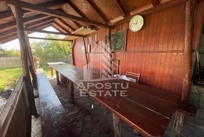 Casa individuala cu 5camere,2bai ideala pt 10 muncitori,Giarmata Vii - 3