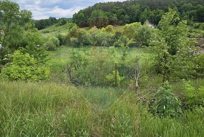 Teren Construcții intravilan de 7797 mp, în Podiș - 2