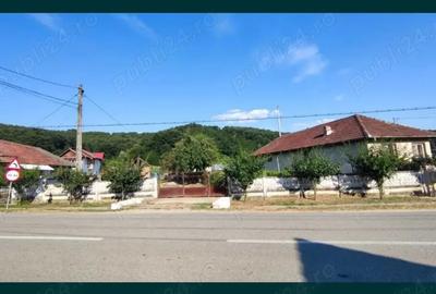 Casă cu 2 camere cu Teren 3623 Mp în Țicleni - 3