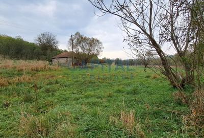 Teren plan 4800 mp cu casa demolabila, centru Corpadea, Apahida - 5