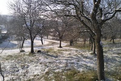 Teren de 5950 mp, în Scorțeni - 15