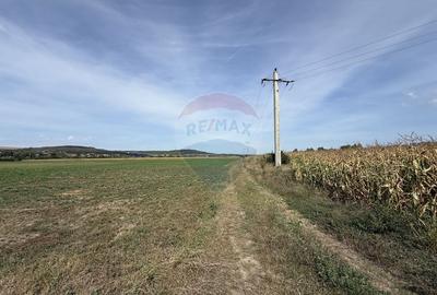 Teren Investitii 1.1 ha |  Bontida-Halta Rascruci - 4