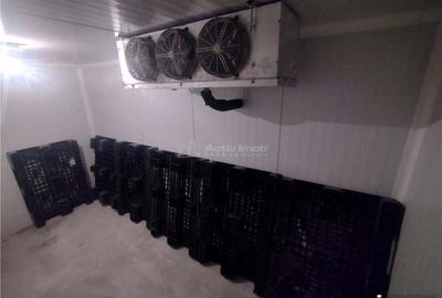 Spațiu comercial, de 230 mp, în Moldova Nouă - 7