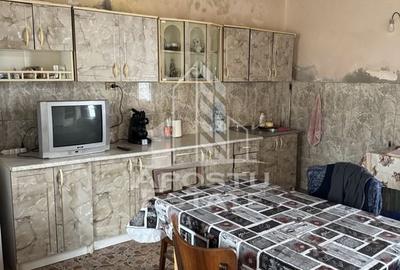 Casă unifamilială în Remetea Mare  cu teren de 3383 mp. - 6