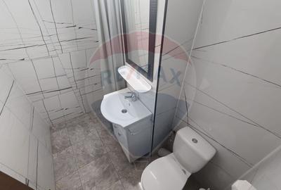 Apartament cu o camera de inchiriat Vlad ?epe? - 3