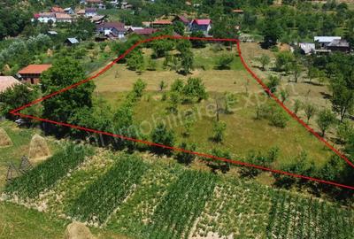 Teren de vanzare in comuna Cicane?ti, sat Bara?ti, jude? Arge?. - 16