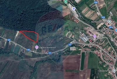 Teren agricol extravilan de 5800 mp, în Exterior Vest - 1