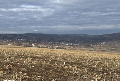 Teren de 990 mp, în Central