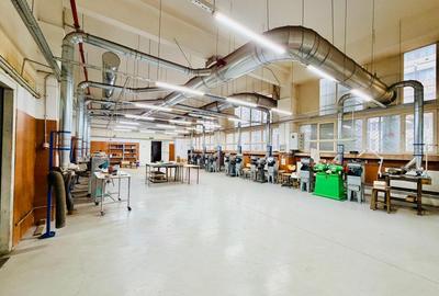 Bloc cu doua etaje de inchiriat, 2200 mp - 5 euro mp, Langa M Dimitrie Leonida - 11