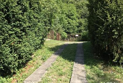 Casă cu 5 camere cu Teren 400 Mp în Hațeg - 3