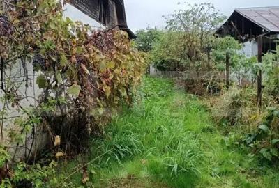 Casă cu 8 camere cu Teren 2000 Mp în Măgurele - 16