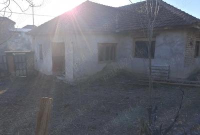 Casă cu 3 camere cu Teren 1400 Mp în Vintere - 2