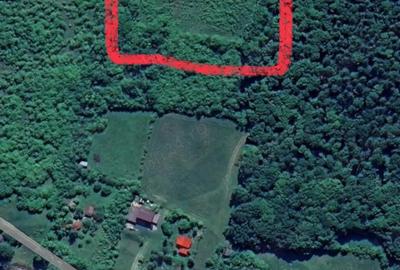 Teren de 5400 mp, în Sântejude - 1