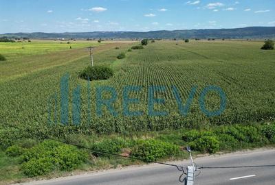 Teren de vanzare, Letea Veche, Jud. Bacau - 3