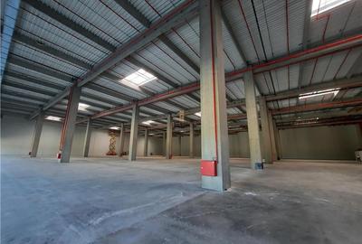 Spatiu Industrial - 1800 mp - Logistica - Productie - Depozitare - Distributie - 5