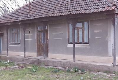 Casă cu 4 camere cu Teren 1800 Mp în Vetrișoaia - 2