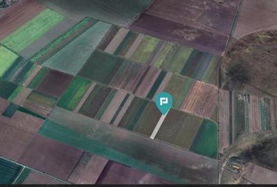 Teren extravilan de 14.500 mp in Caporal Alexa - 3