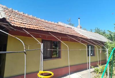 Casa de vanzare in Murfatlar - 5