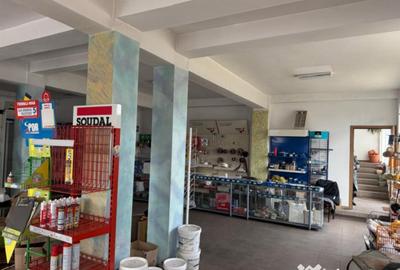 Spațiu comercial, de 840 mp, în Brestei - 17