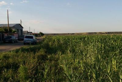 Teren de 2500 mp, în Mărăcineni - 3