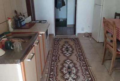 Apartament cu 3 camere în Porțile de Fier II - 8