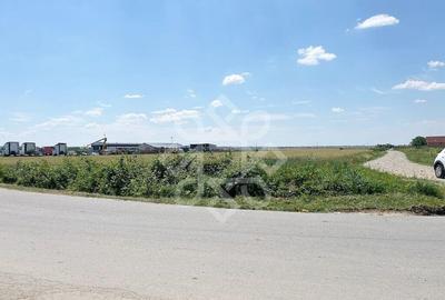 Teren intravilan 2 hectare zona Fan Courier - 1