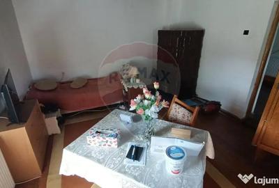 Casă cu 3 camere cu Teren 3000 Mp în Copalnic - 2