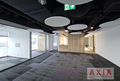 Birou premium in zona Piata Victoriei - 10