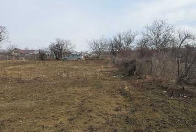 Spațiu comercial, în Vlădiceni - 1