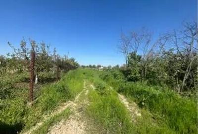 Teren de 4400 mp, în Grădinari - 3