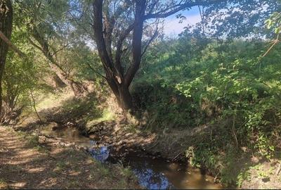 Casă cu 3 camere în Colibi - 2