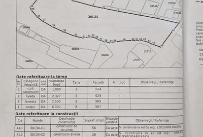 Teren de 12000 mp, în Păulești - 4