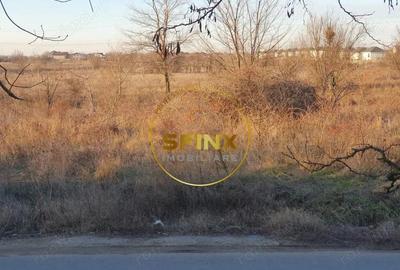 TEREN INTRAVILAN BRAGADIRU 5000mp| SOSEAUA ALEXANDRIEI | DESCHIDERE LA 2 STRAZI - 16