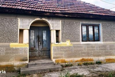 Spațiu comercial, în Lipia - 5