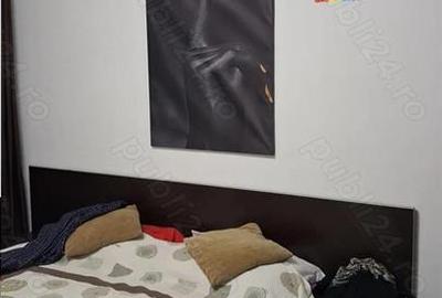 Apartament cu 2 camere decomandat, mobilat în Drumul Taberei - 2