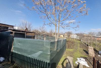 Casă cu 5 camere cu Teren 1000 Mp în Independența - 2