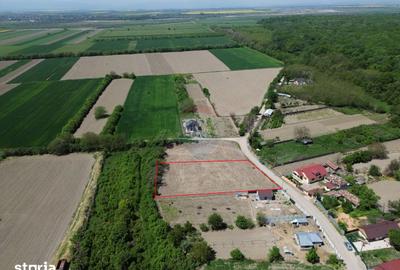 Teren de 1660 mp, în Vânători - 6
