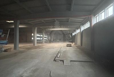 Spațiu industrial, în B-dul București - 4
