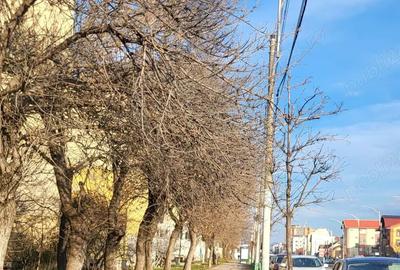 Apartament cu 3 camere decomandat în Central - 1