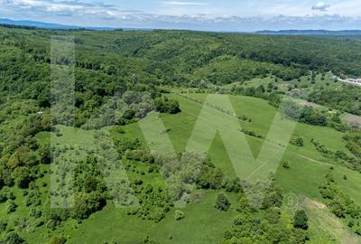 Terenuri de vanzare in Bradu - 500 mp, panorama superba la munti si raul Olt Terenuri de vanzare in Bradu - 500 mp, panorama superba la munti si raul Olt - 4