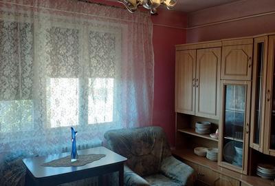 Apartament cu 2 camere decomandat în Aradul Nou - 4