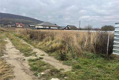 Hemeius- teren 500 mp- 18 ml deschidere! - 4