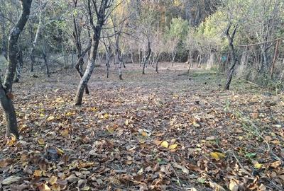 Teren de 1200 mp, în Băbana - 2